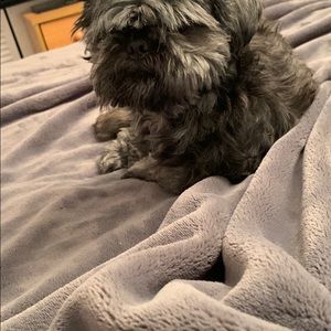 Meet your Posher, Kai